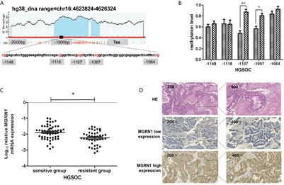 Promoter Methylation of the MGRN1 Gene Predicts Prognosis and Response to Chemotherapy of High-Grade Serous Ovarian Cancer Patients